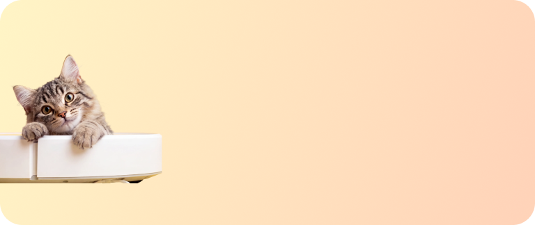 Forum Share &amp; Win