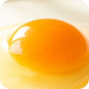 Egg