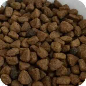 Pet Food