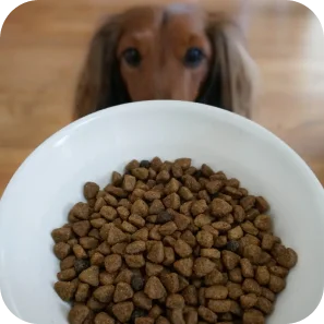 Kibble