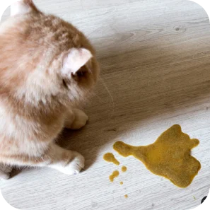 Vomit