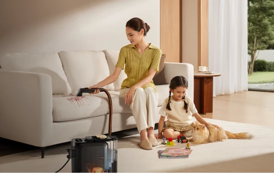 Carpet Spot Cleaner N20 Steam